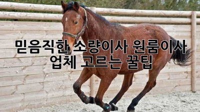 📦 믿음직한 소량이사, 원룸이사 업체 고르는 꿀팁! 🍯