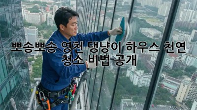🐶 뽀송뽀송! 영천 댕냥이 하우스, 천연 청소 비법 공개! 🏡✨