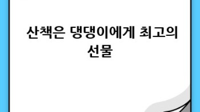 🐶 댕댕이 배변 훈련, 꿀팁 대방출! 💩 완벽 마스터 가이드